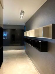V On Shenton (D1), Apartment #547095821